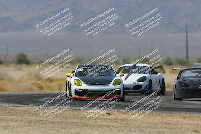 media/Mar-29-2025-Pro Autosports (Sat) [[89b1c017ad]]/5-Blue-White Group/Qualifying Race/